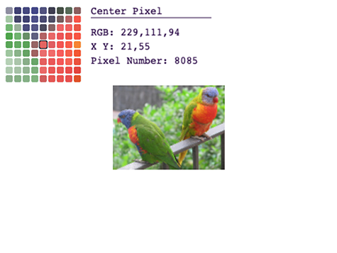 image of Snap! stage with a photo of two colorful parrots in the bottom right corner. In the upper left corner there is a 9 by 9 grid of squares of various colors representing a zoomed in portion of the parrot picture. Beside the grid are four lines of text: 'Center Pixel', 'RGB: 229,111,94', 'X Y: 21,55', and 'Pixel Number: 8085'.