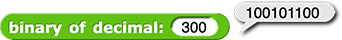 binary of decimal (300) reporting 100101100